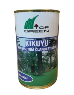 Semillas de césped Kikuyu...