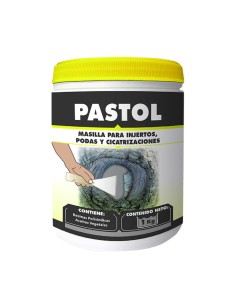 Pasta cicatrizante Pastol...