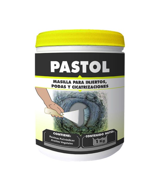 Pasta cicatrizante Pastol 1kg - Massó 