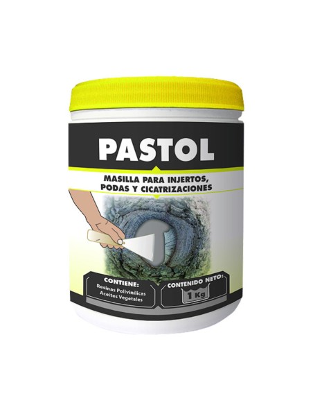 Pasta cicatrizante Pastol 1kg - Massó