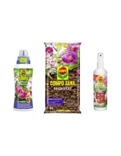 Pack Orquídeas - Compo