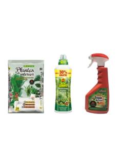 Pack Plantas de Interior
