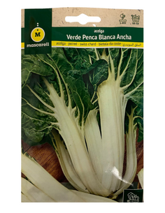 Semillas de Acelga Verde...