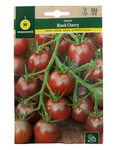 Semillas de tomate black...