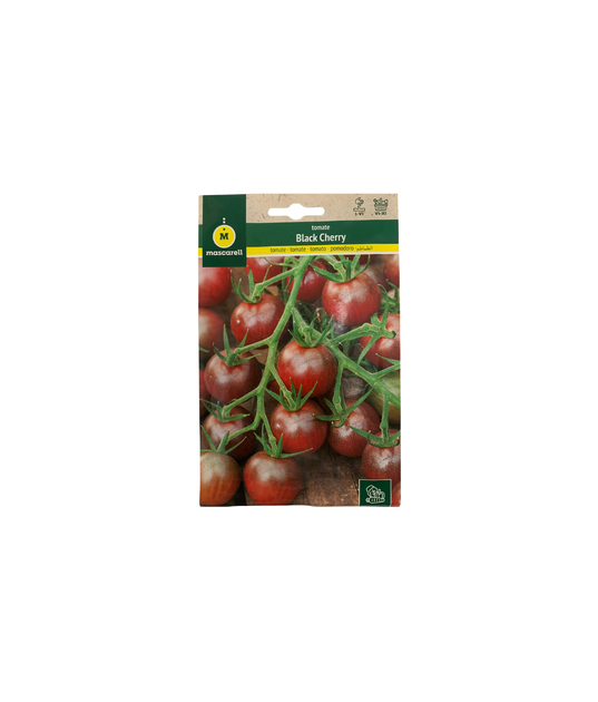 Semillas de tomate black cherry 0.3gr - Mascarell