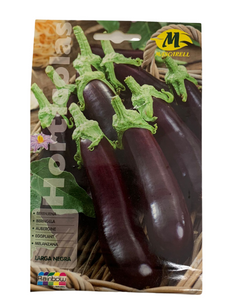 Semillas de berenjena negra...