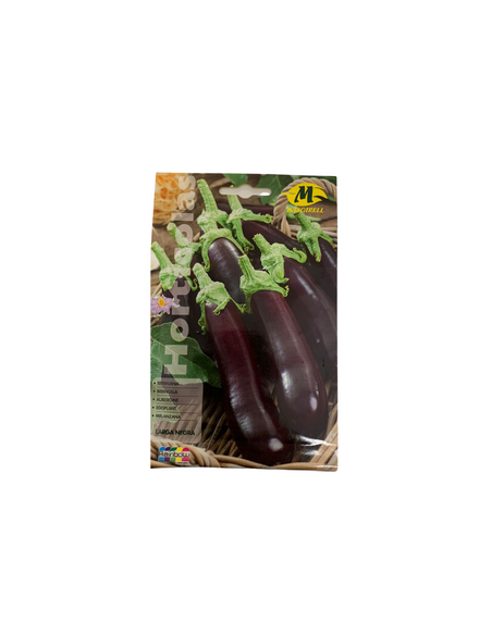 Semillas de berenjena negra 3 gr - Mascarell