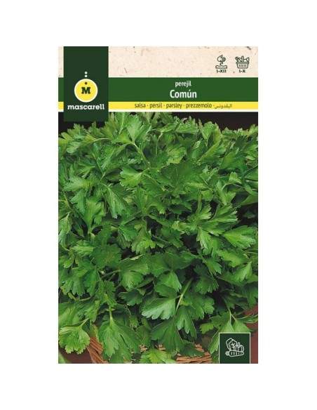 Semillas de perejil 15 gr -Mascarell