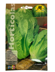 Semillas de lechuga romana...