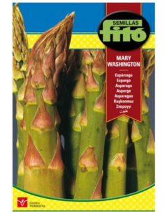 Semillas Espárrago Verde...