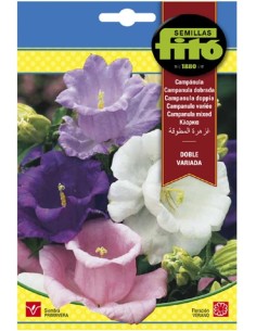 Semillas de Campánula 1gr -...