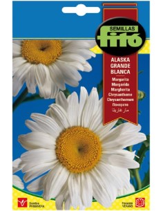 Semilla de margarita 3gr -...