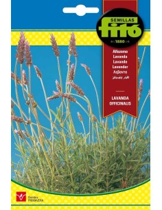 Semillas de Lavanda 1 gr -...