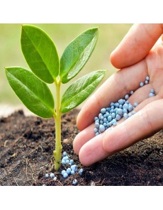 Abono Azul Universal... 2