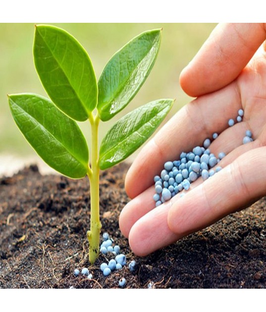 Abono Azul Universal Ciemhus 4Kg-...