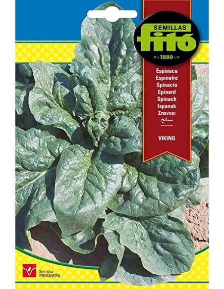 Semillas de espinacas 20gr - Fitó