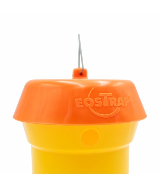 Trampa de insectos Eostrap - Econex