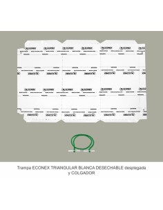 Trampa Triangular... 2
