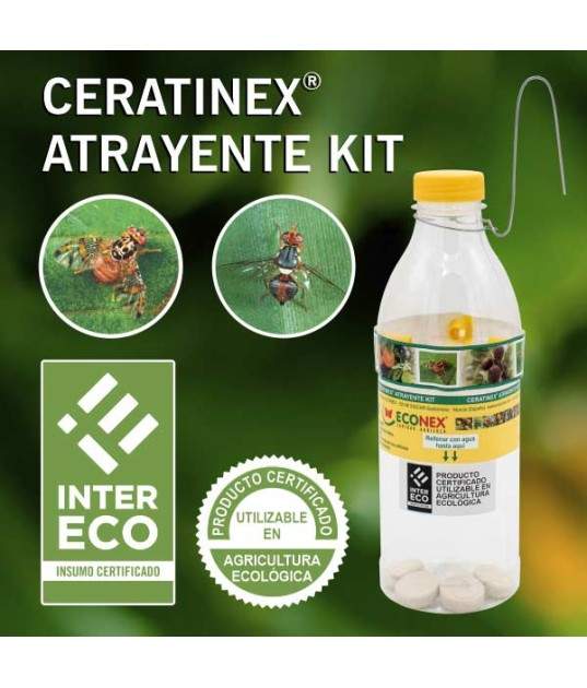 KIT Ceratinex - Econex KIT Ceratinex - Econex