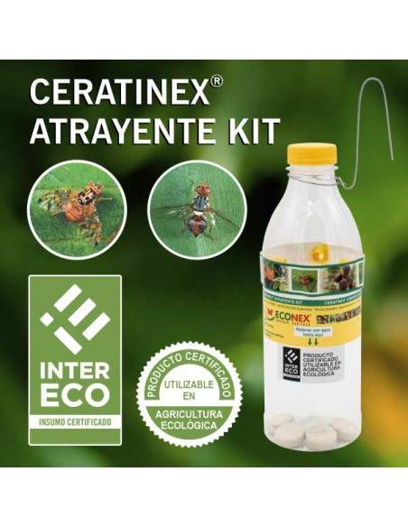 KIT Ceratinex - Econex