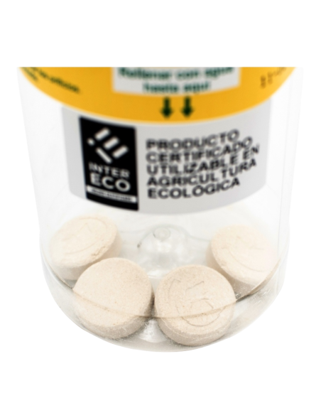 KIT Ceratinex - Econex