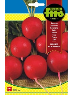 Semillas de rabanito...