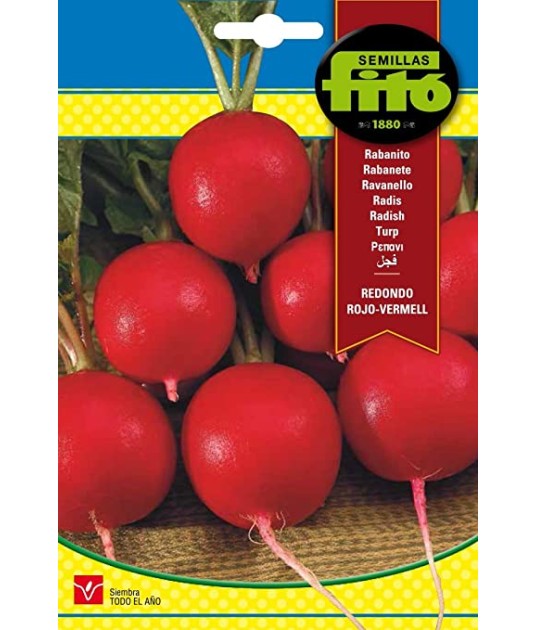 Semillas de rabanito redondo rojo 20 gr - Fitó