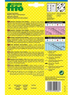 Semillas de rabanito... 2