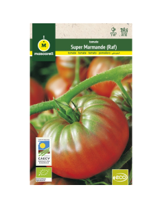 Semillas de tomate Raf 5gr...
