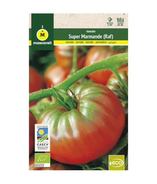Semillas de tomate Raf 5gr - Mascarell