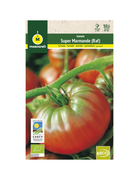 Semillas de tomate Raf 5gr - Mascarell