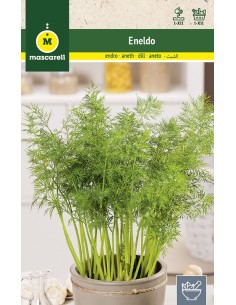 Semillas de Eneldo - Mascarell