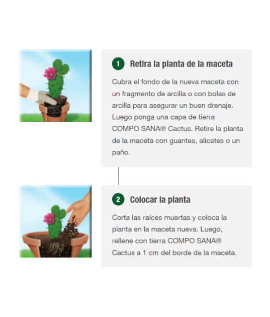 Sustrato para Cactus 5L - Compo