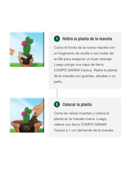 Sustrato para Cactus 5L - Compo