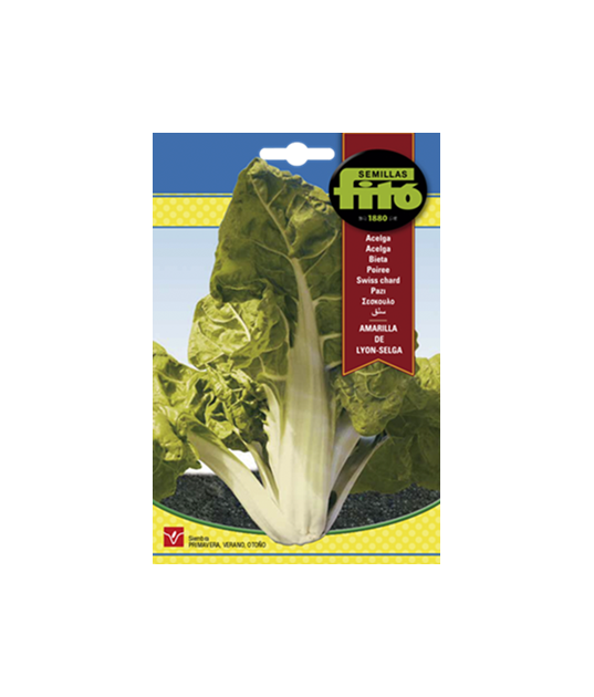 SEMILLAS ACELGA AMARILLA DE... SEMILLAS ACELGA AMARILLA DE...