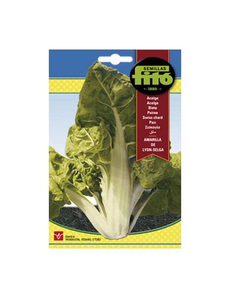 SEMILLAS ACELGA AMARILLA DE LYON-SELGA - FITÓ
