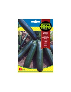 SEMILLAS CALABACIN BLACK...