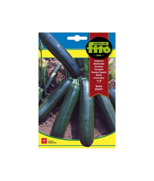 SEMILLAS CALABACIN BLACK BEAUTY...