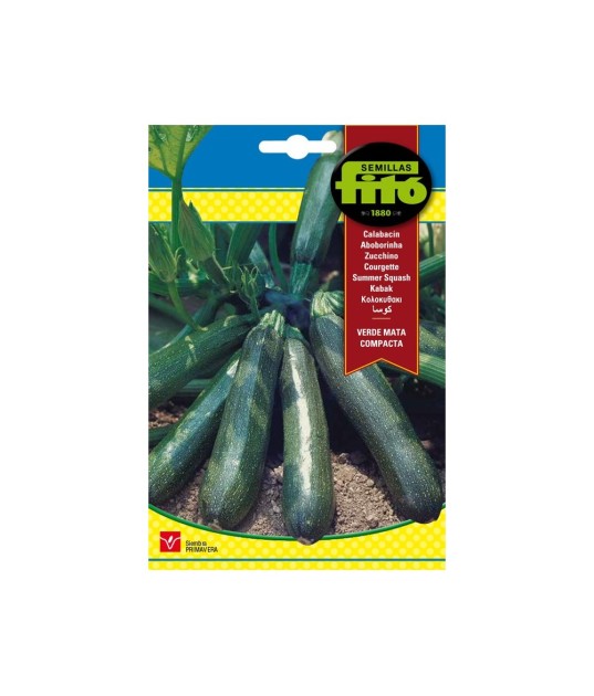 SEMILLAS CALABACIN VERDE MATA... SEMILLAS CALABACIN VERDE MATA...
