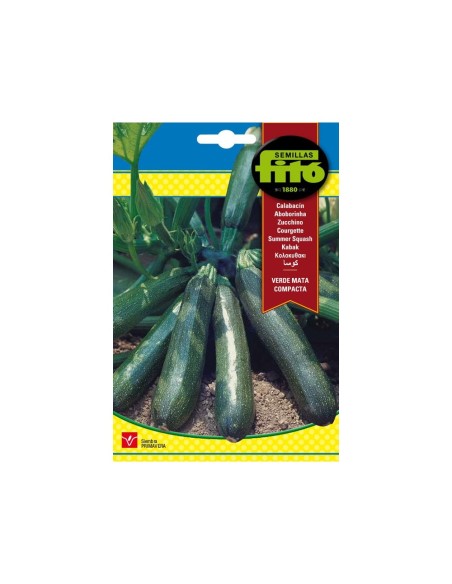 SEMILLAS CALABACIN VERDE MATA COMPACTA - FITÓ