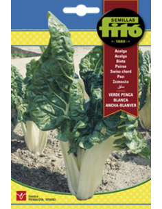 SEMILLAS ACELGA VERDE PENCA...