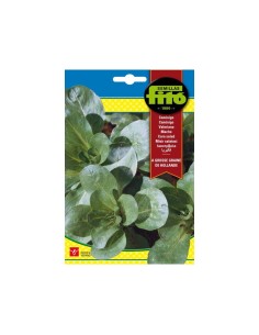 SEMILLAS CANÓNIGOS A GROSSE...