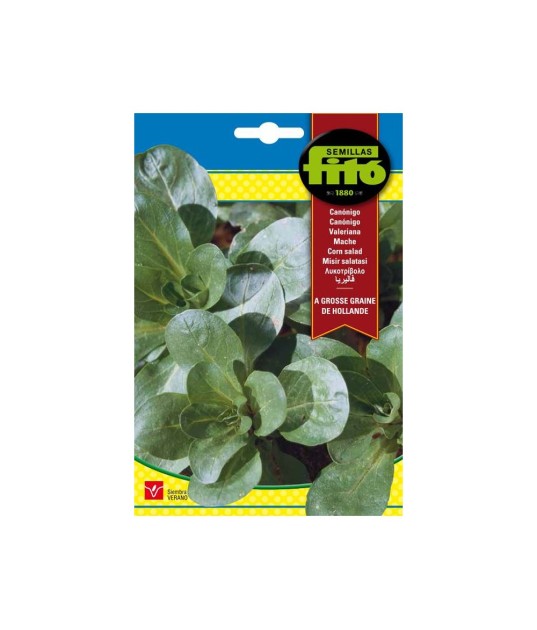SEMILLAS CANÓNIGOS A GROSSE GRAINE DE...