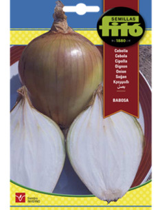 SEMILLAS CEBOLLA BABOSA - FITÓ
