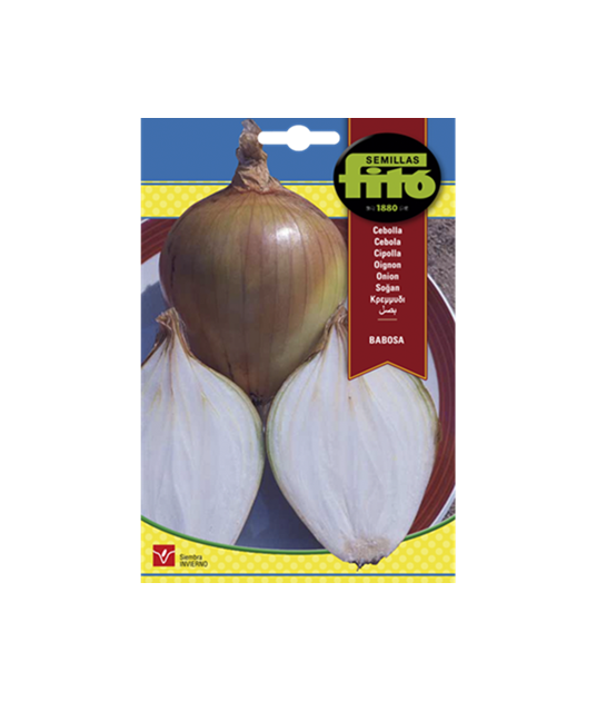 SEMILLAS CEBOLLA BABOSA - FITÓ