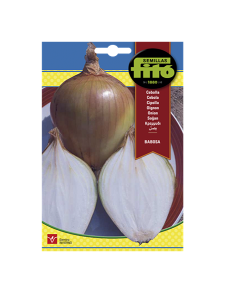 SEMILLAS CEBOLLA BABOSA - FITÓ