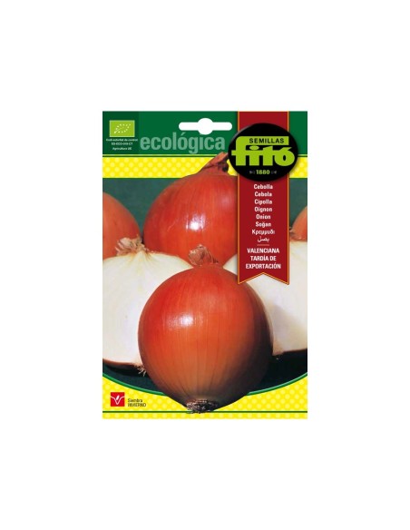 SEMILLAS CEBOLLA VALENCIANA TARDIA EXPORTACIÓN - FITÓ