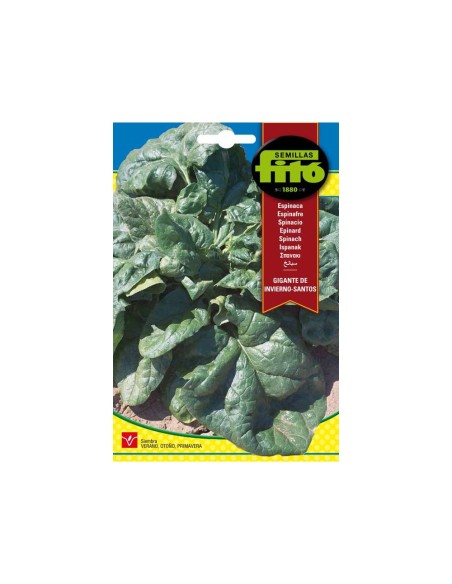 SEMILLAS ESPINACA GIGANTE DE INVIERNO-SANTOS - FITO