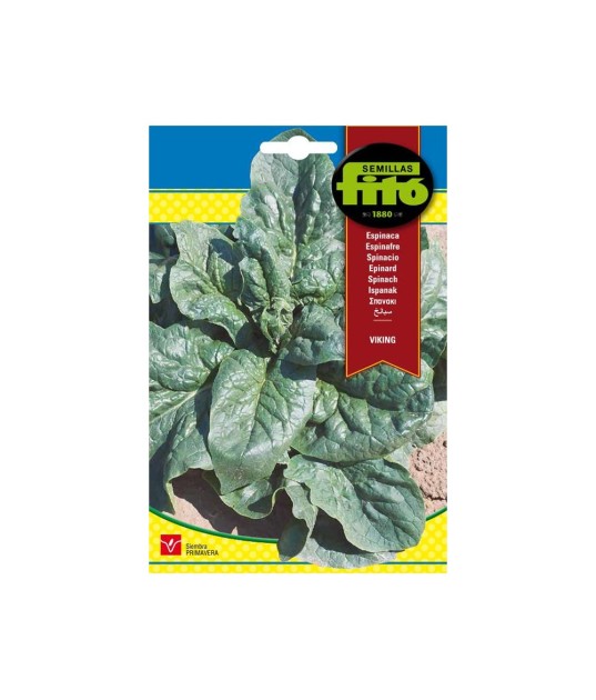 SEMILLAS ESPINACA VIKING - FITO