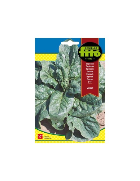 SEMILLAS ESPINACA VIKING - FITO